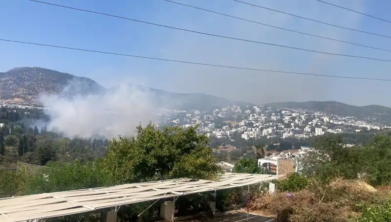 Muğla'daki Orman Yangınları Kontrol Altına Alındı: Yaşanan Gelişmeler