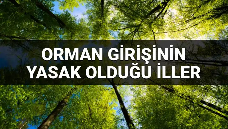 2025 Yılında Ormana Girişi Yasaklanan Şehirler Belli Oldu!