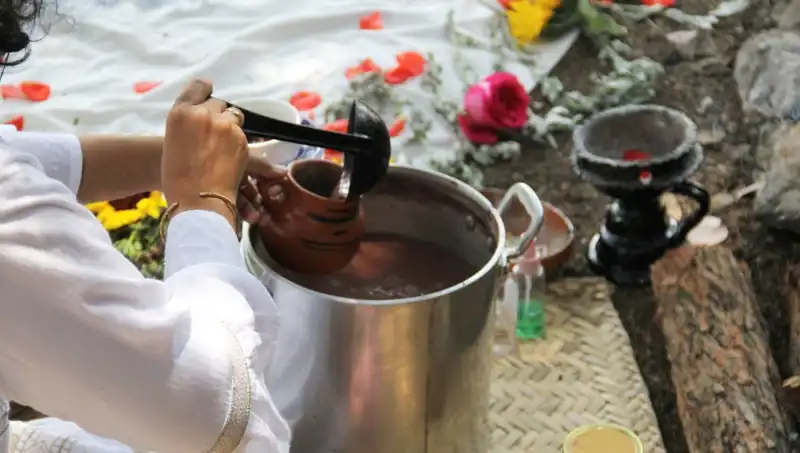 Ayahuasca Nedir? Bilimsel ve Kültürel Sırlarıyla Bu Gizemli İçki