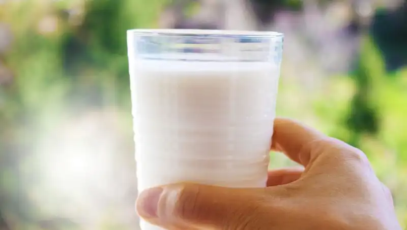 Süt Tüketimi Üzerine Şoke Edici Gerçekler: Şişkinlik Yapar mı?