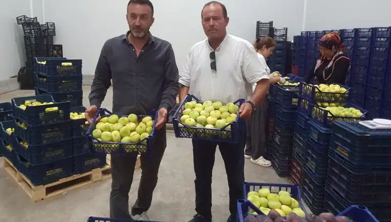Mersinli Çiftçilerin Yüzünü Güldüren Yeni İhracat Fırsatı