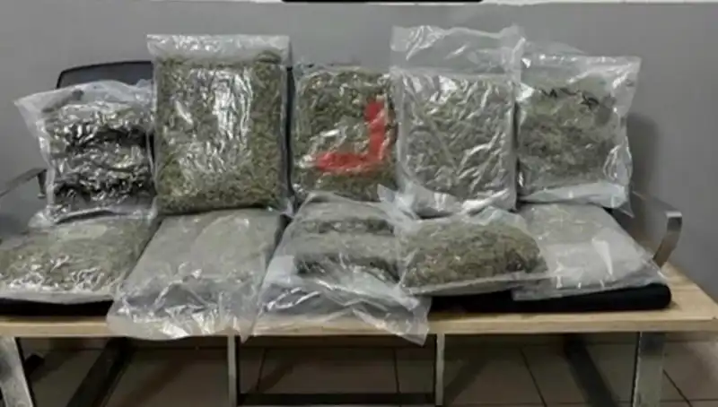 İzmir'de 92 Şüpheli Operasyonu: Suç Çeteleri Çökertildi