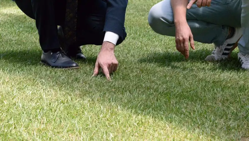 Stadyum Zemininde Tartışmalar Sürüyor: Son Durum Ne?