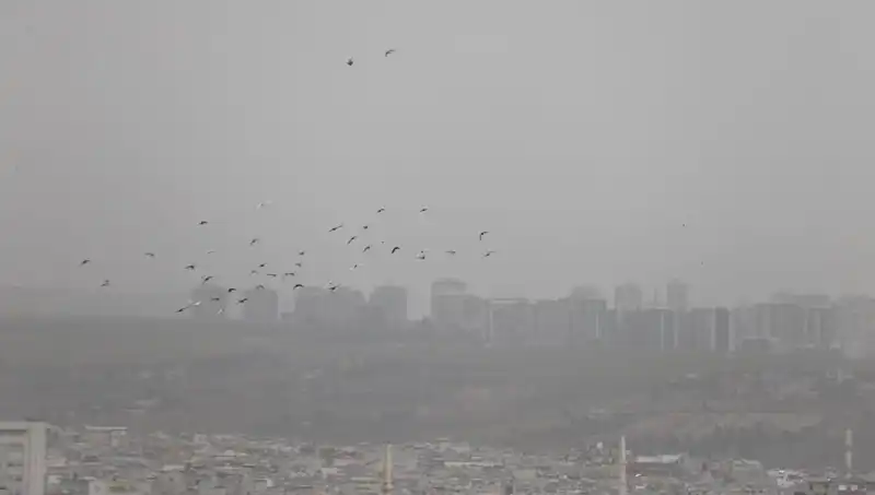 Şanlıurfa'da Toz Bulutları Görüş Mesafesini Kısıtladı, Hayat Durma Noktasına Geldi