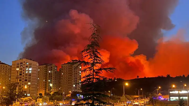 Bursa'da Artan Yangın Olayları: Şehirde Alarm Durumu