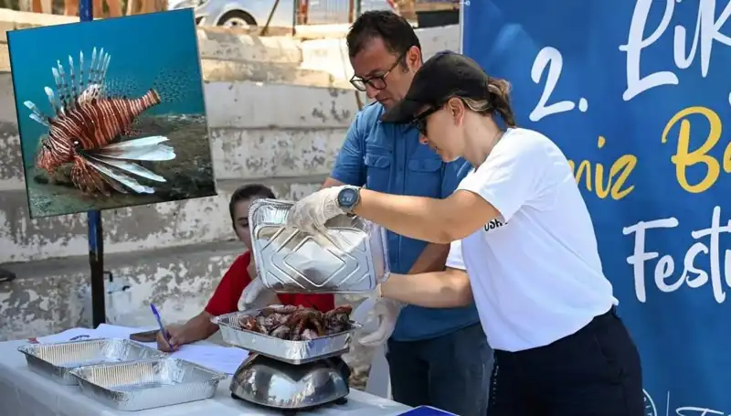Antalya'da İstilacı Aslan Balığı Avlama Yarışması: Denizlere Dikkat Çekmek İçin
