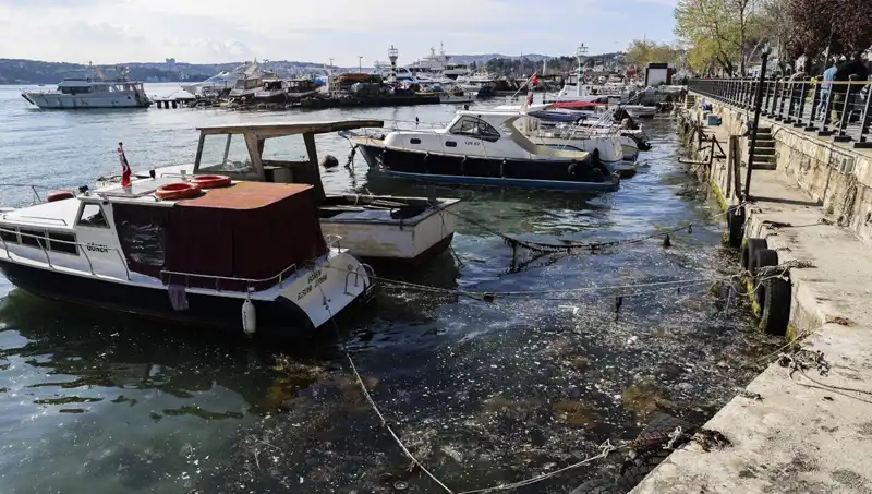 İstanbul’da Müsilaj Alarmı: Denizin Dibi Gözler Önünde Kayboluyor