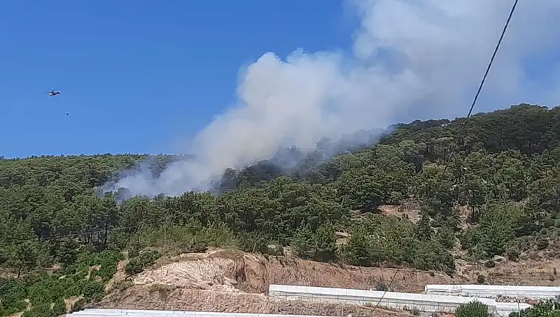 Kumluca'da Alevlere Karşı Mücadele: Orman Yangını Kontrol Altına Alındı!