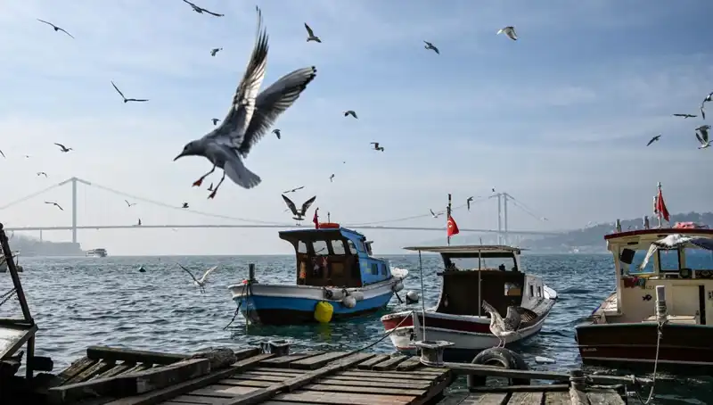 İstanbul'da Bahar Havası Geri Dönüyor: Tarih Açıklandı!