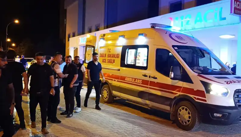 Kardeşi Kavgayı Ayırmaya Çalıştı, Feci Sonuçla Karşılaştı!