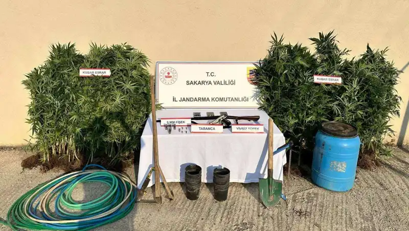 Sakarya’da Uyuşturucu Operasyonunda 1 Kişi Tutuklandı, Ayrıntılar Şok Edici!