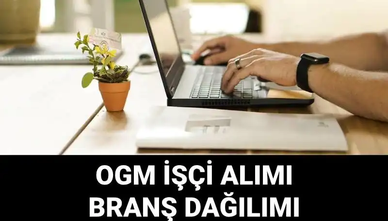 Orman Genel Müdürlüğü 4500 Geçici İşçi Alımı: İşte Başvuru Süreci ve Gereken Şartlar