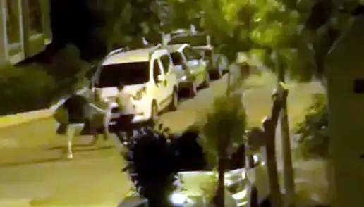 Avcılar'da 3 Kişinin Saldırısına Uğrayan Vatandaş Kurtarıldı