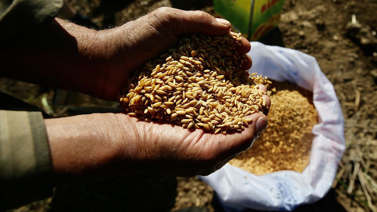 Artık Ata Tohumları Tarım Kredi Marketlerinde de Satışta!
