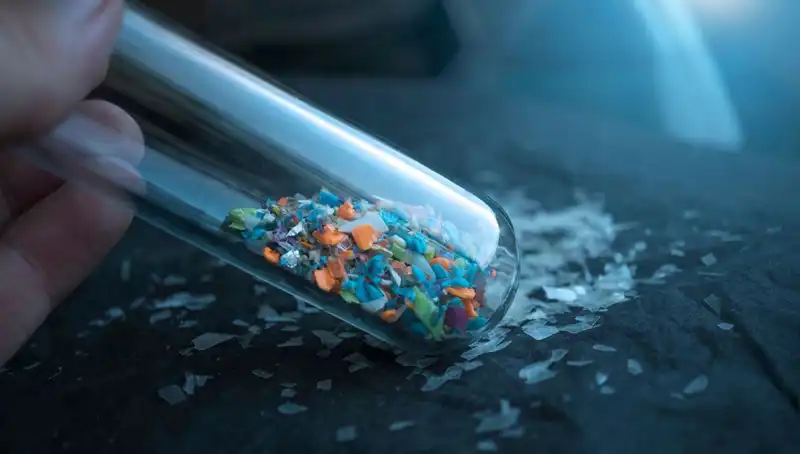 Mikroplastikler İnsan Beynine Sızıyor: Sağlık Üzerindeki Korkutucu Etkileri