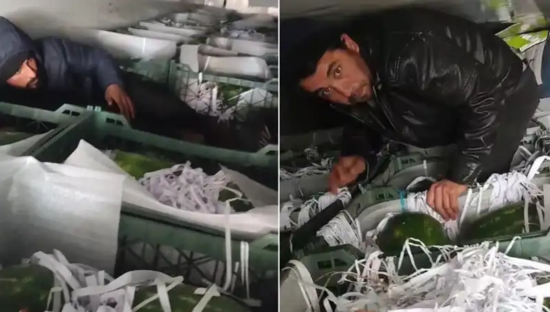 Karpuzların Arasından Çıkan Göçmenler: Sınırda Şok Gelişme!