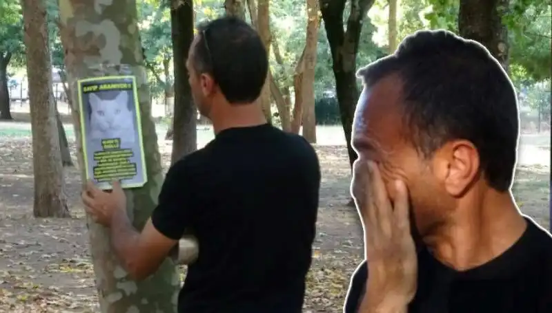 Seyahat İhtiyacı İçin Kaybolan Kediyi Arayan Aileye Destek Çağrısı