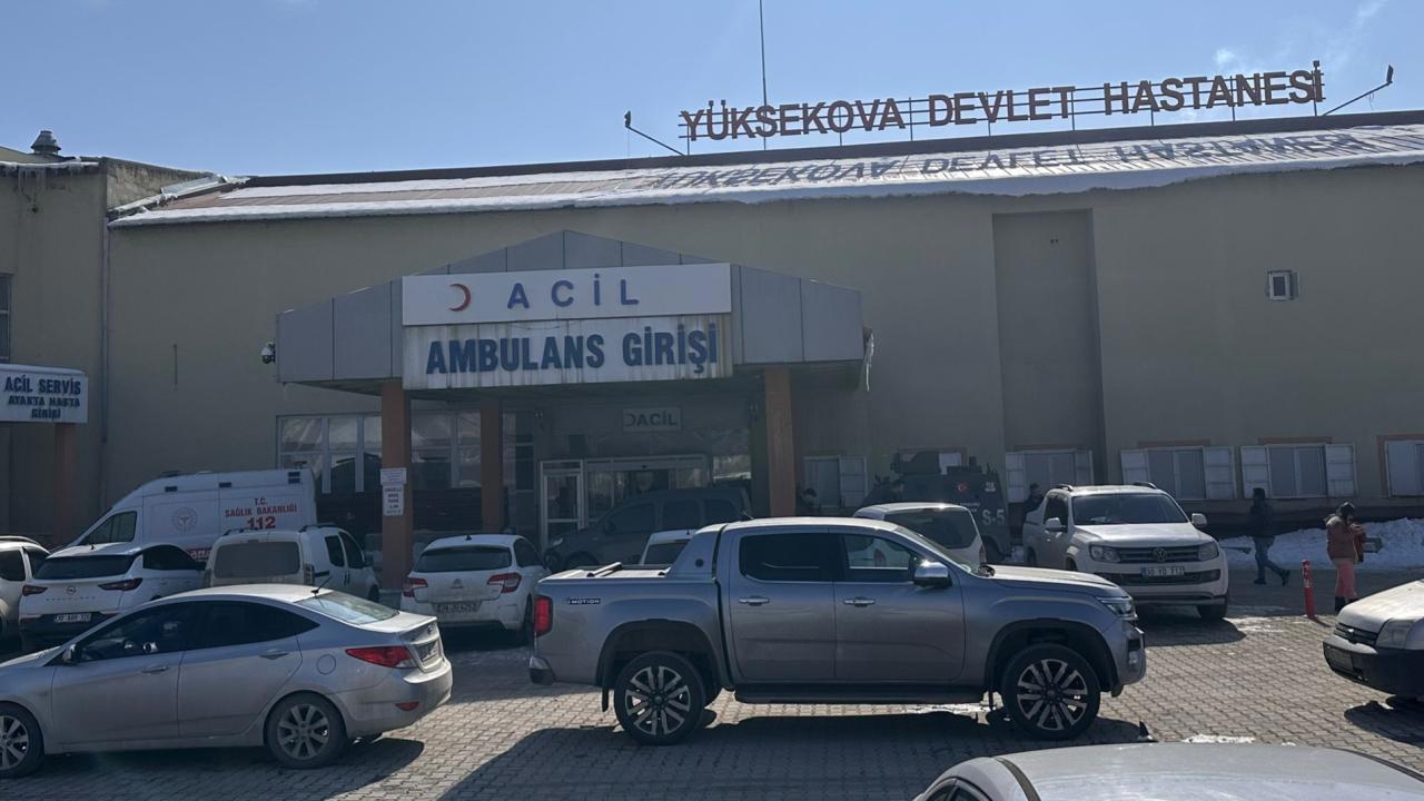 Müfettiş görevlendirildi: Başıboş köpeklerin saldırısında çocuk hayatını kaybetti
