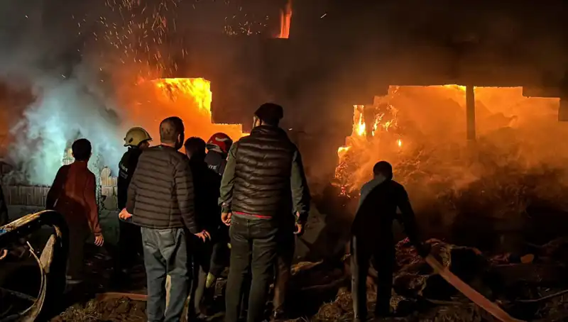 Bolu'daki Ahır Yangını: Hayvanlar ve Yüzlerce Binaya Zarar Verdi