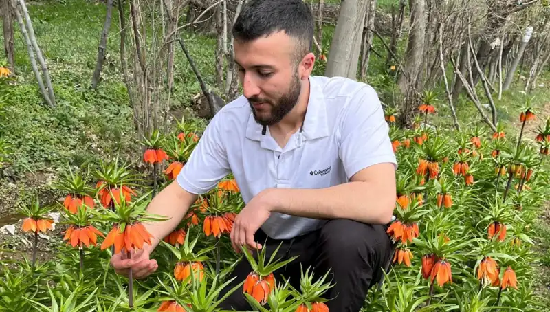 Halkın Dikkatini Çeken "Ağlayan Gelin": 20 Günlük Ömrü ve Cezasıyla Şaşırtıyor
