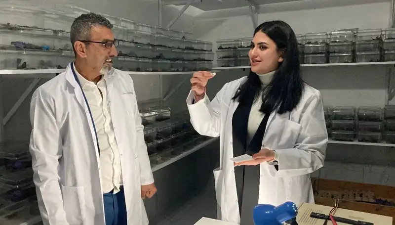 Akrep Zehri ile Şeker Karışımı: Yiyenler Neden Hayran Kalıyor?